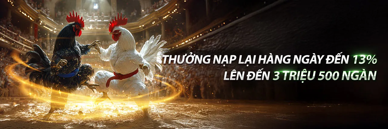 Sân đấu đá gà trực tuyến sôi động tại nowgoal hiện đang mở