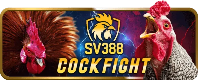 Liên hệ nowgoal hiện đang mở để được hỗ trợ về quyền riêng tư